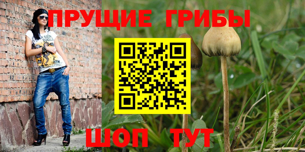 Псилоцибиновые грибы Magic Shrooms  цены   Чебоксары  Вход с VPN 