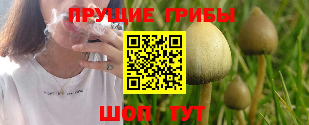 Псилоцибиновые грибы MAGIC MUSHROOMS Чебоксары